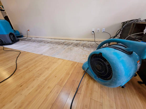 Reliable Flood Damage Restoration contractor in Springfield, MI by Hirex Water Damage