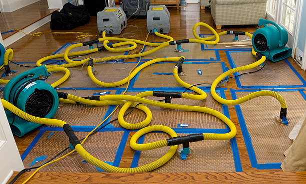 Professional Flood Damage Restoration technician working in Springfield, MI